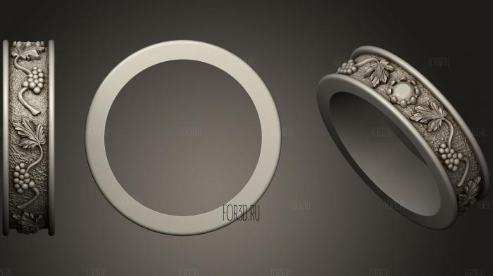 Ring 181 stl model for CNC